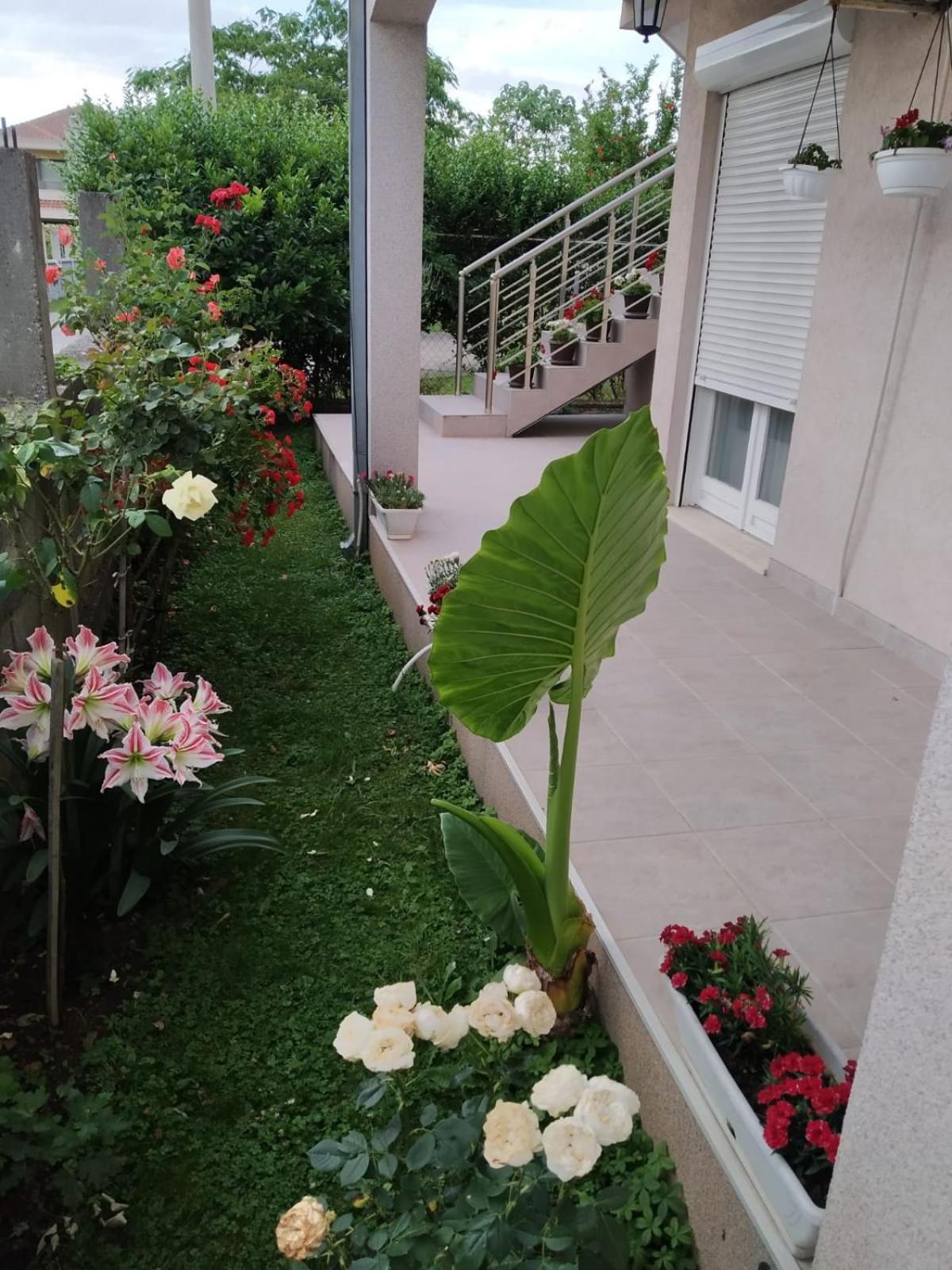Entire House Floor - 2-Bedroom Cozy & Peaceful Apartment Podgorica Bagian luar foto